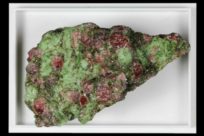 Pyrope, Forsterite, Diopside & Omphacite Association - Norway #131519